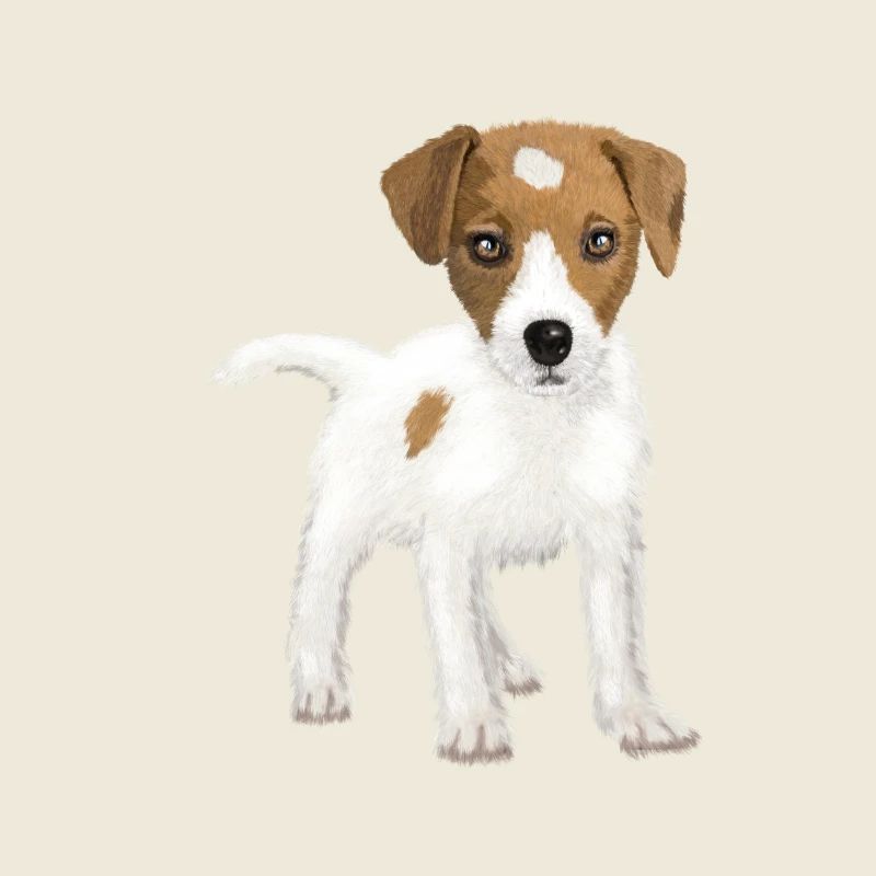 Hi, i am Jack !