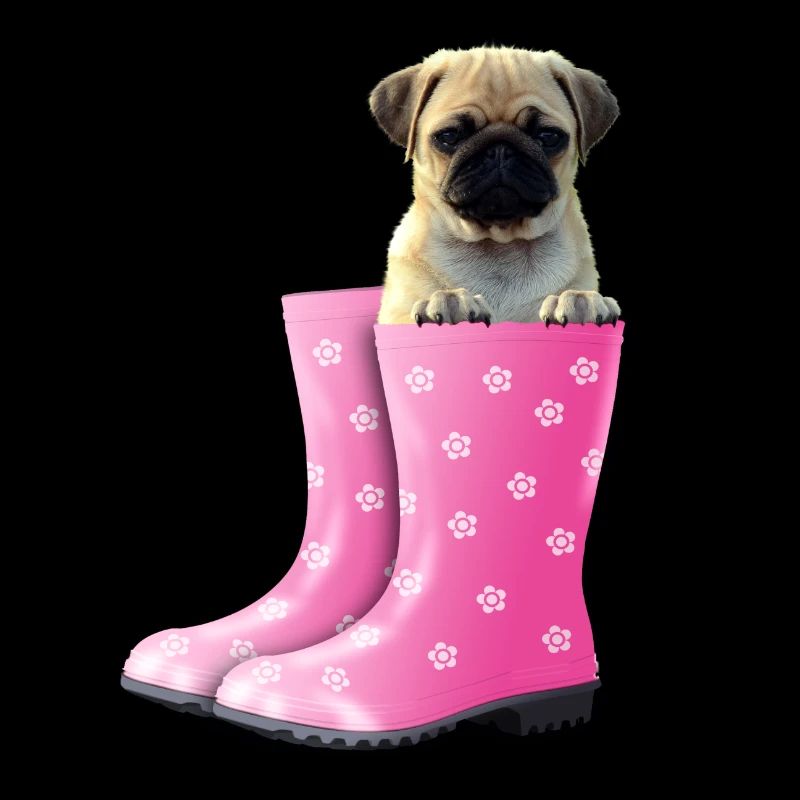 Mops