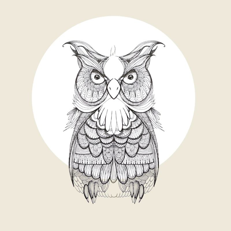 Hibou