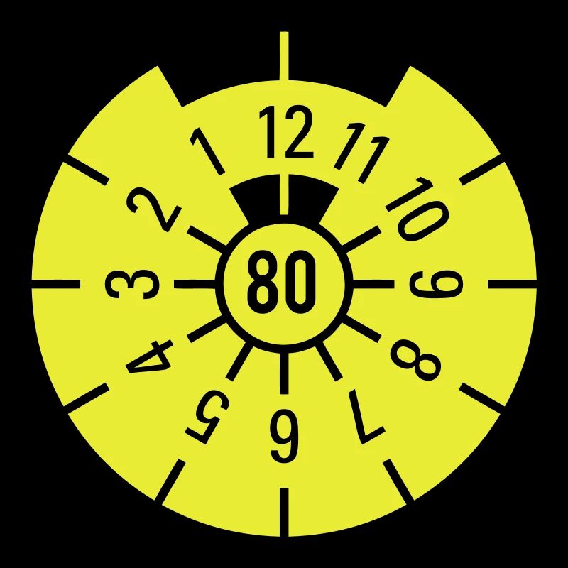 TÜV 1980