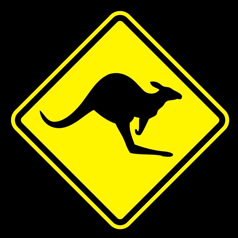 kangoroo_shield__f2