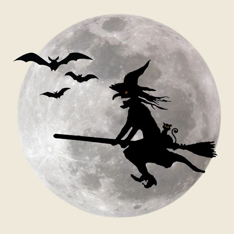Halloween witch with a cat flies on the sky