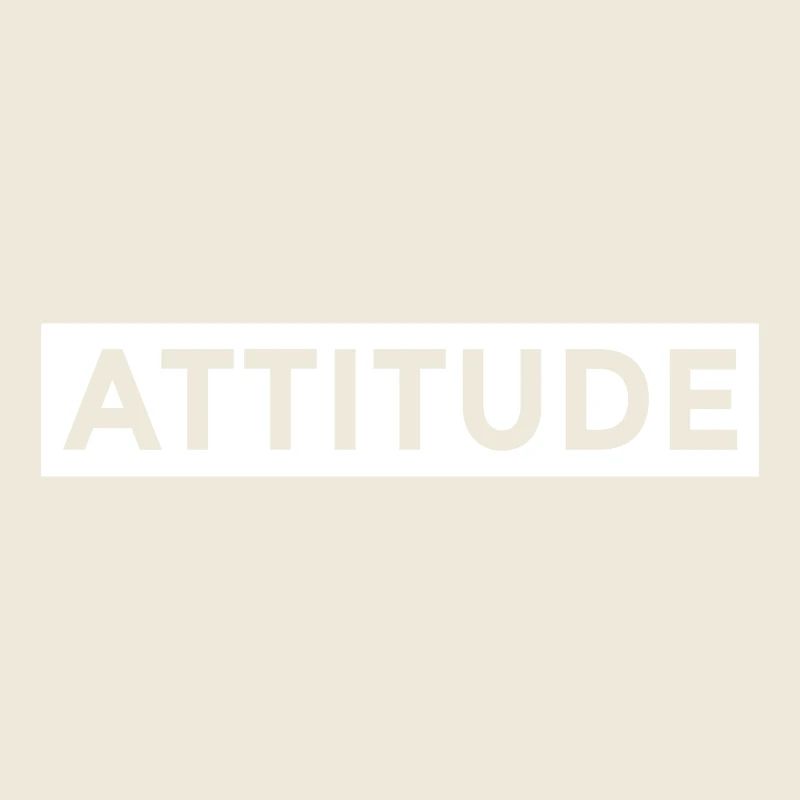 Attitude Meaning