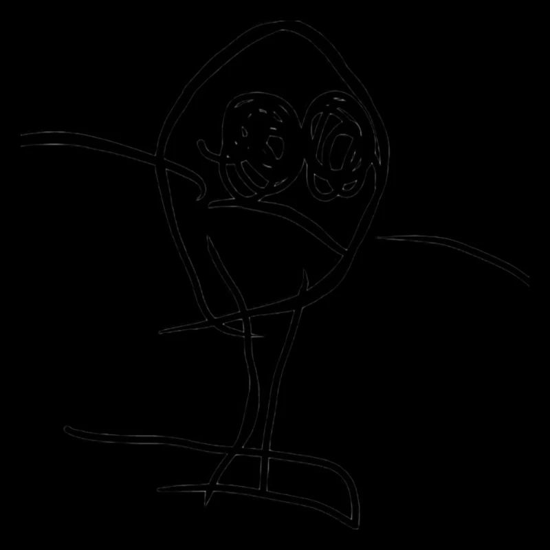 Niilo22 oiseau synchrone