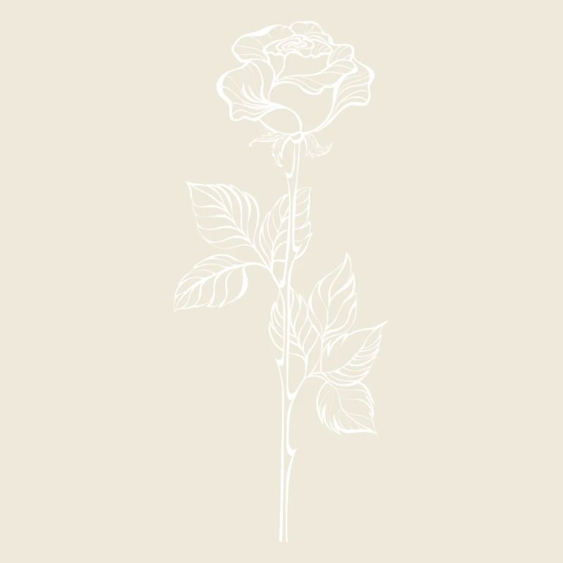 Rose blanche
