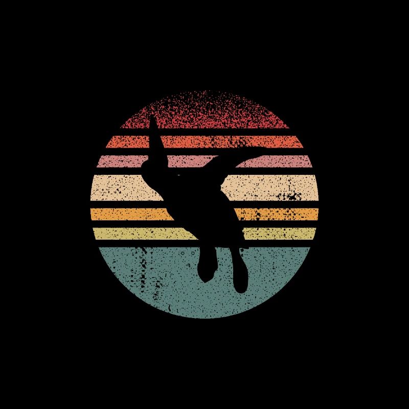 Turtle Retro Graphic