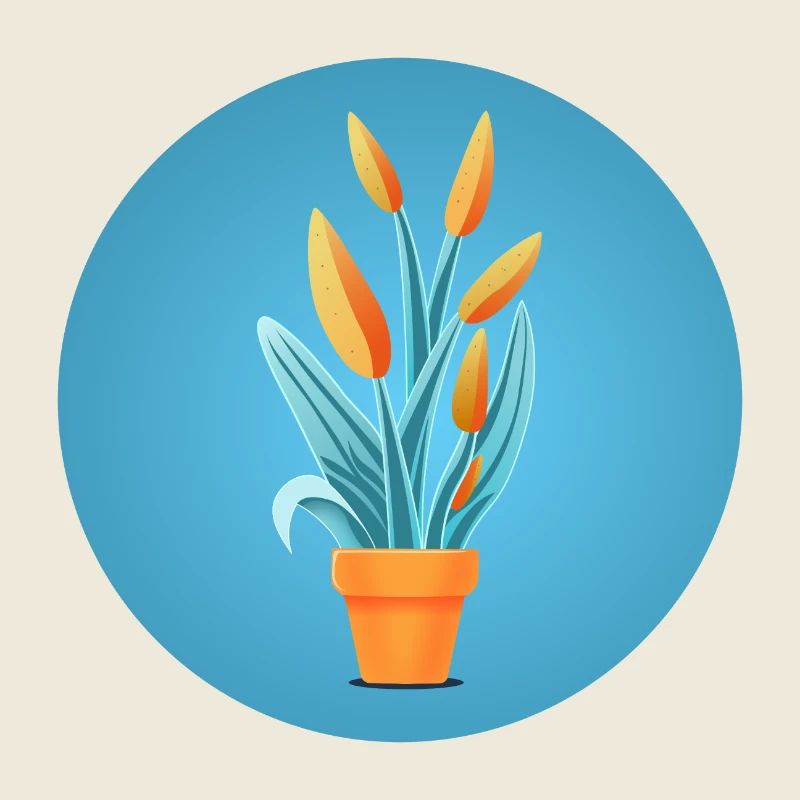 Planter dans un pot en argile