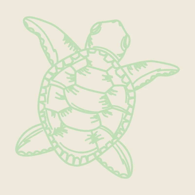 Tortoise