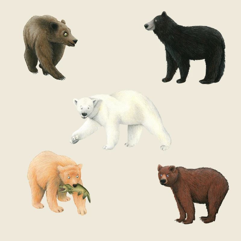 Ours
