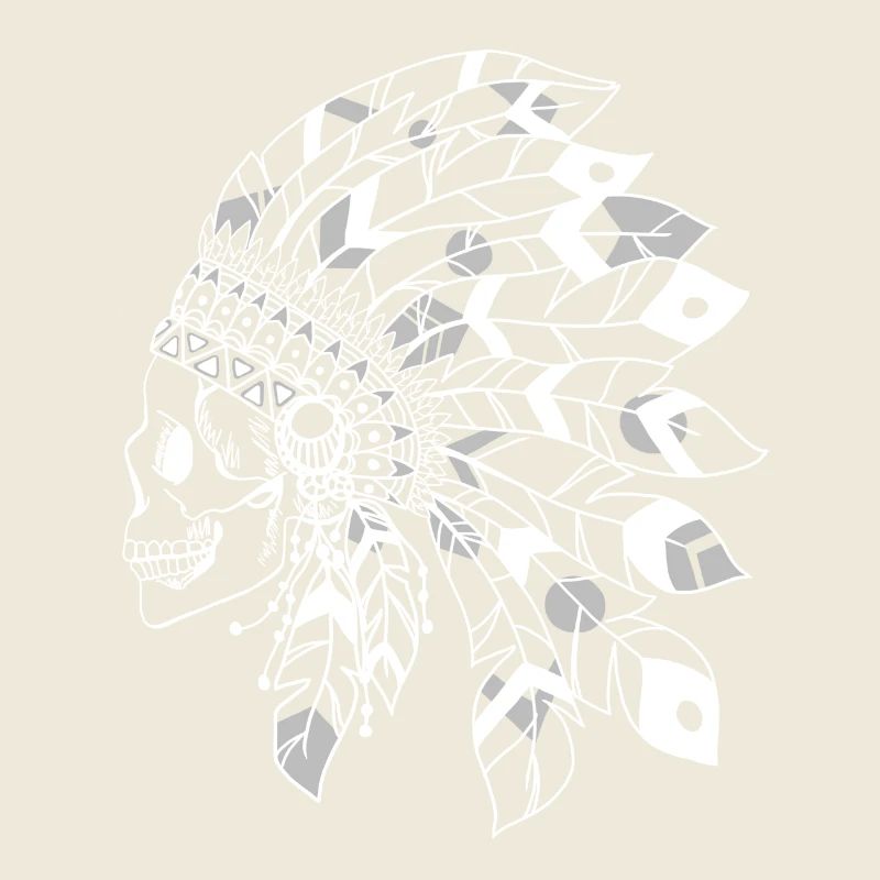 crâne avec coiffe indienne blanc et gris