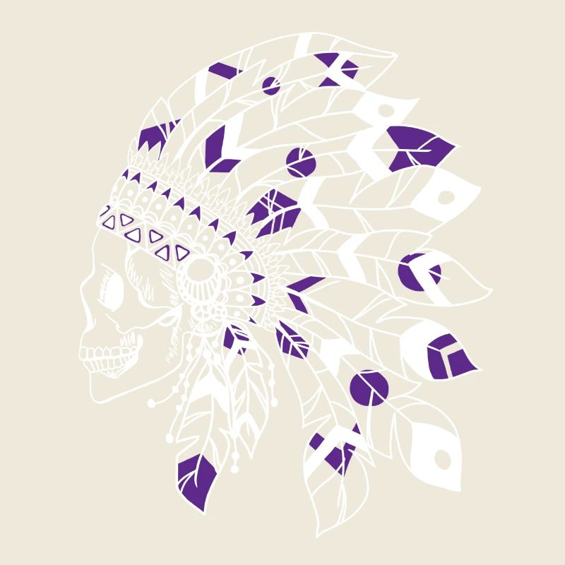 crâne avec coiffe indienne blanc et violet