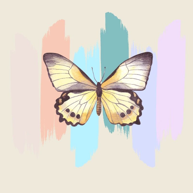 Regenbogen-Schmetterling