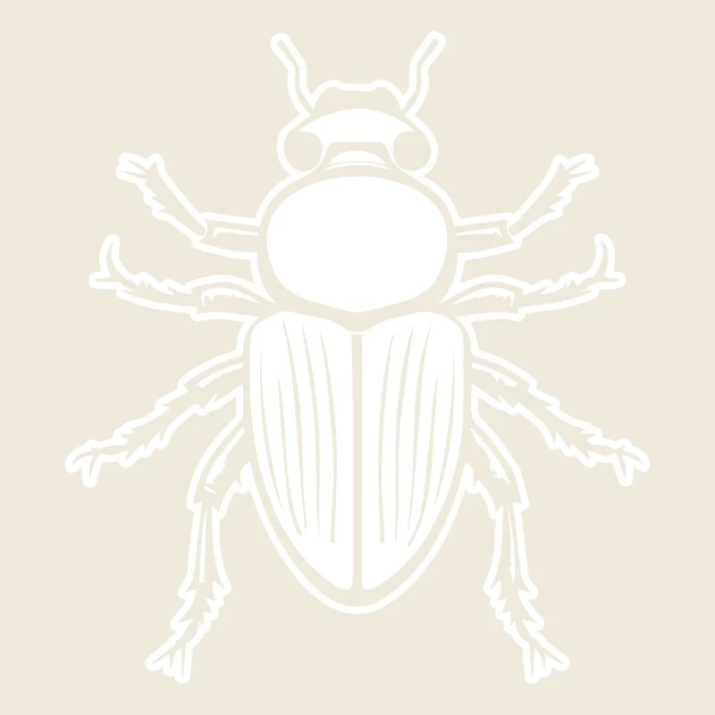 Insectes, bestioles, arthropodes