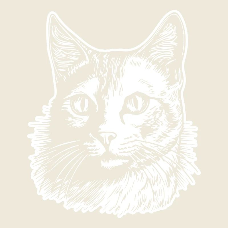 Katze Katzen Kätzchen Katzendame