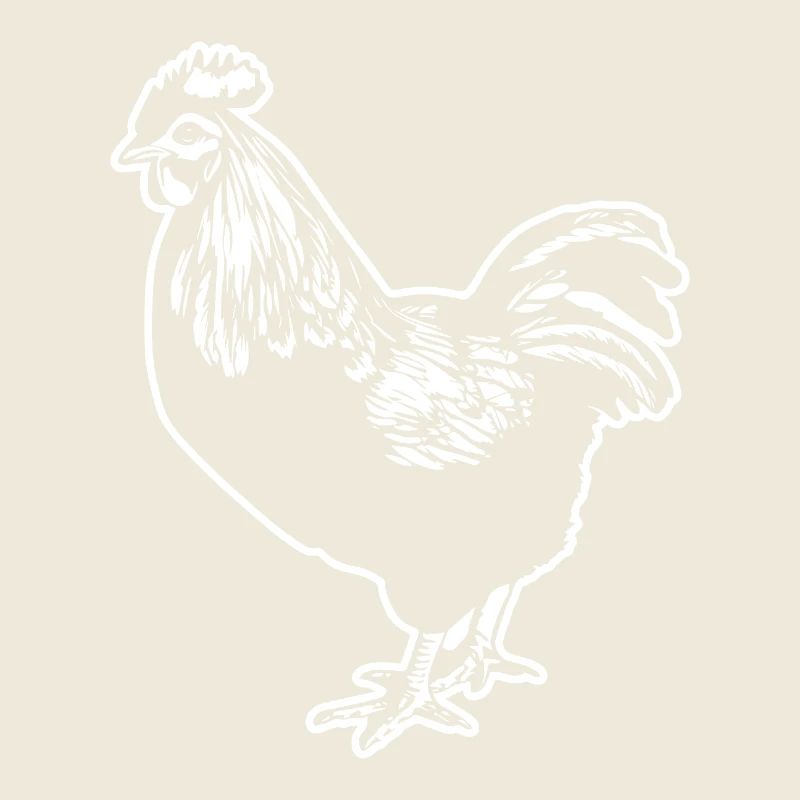 Chicken Chicken House Poultry Rooster Farm