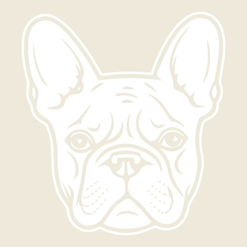 Bouledogue français Terrier de Boston