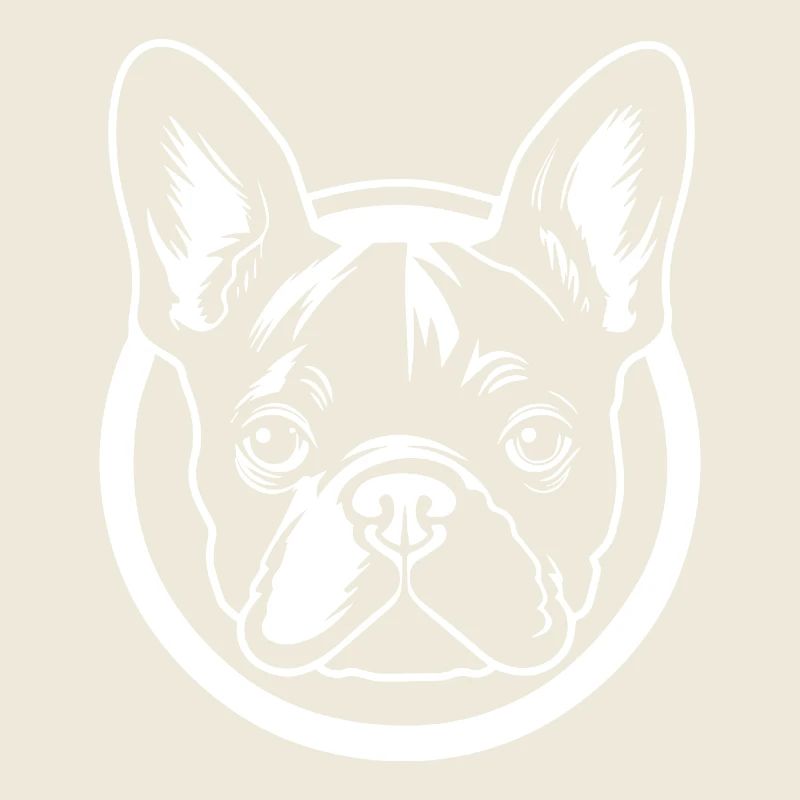 Bouledogue français Terrier de Boston