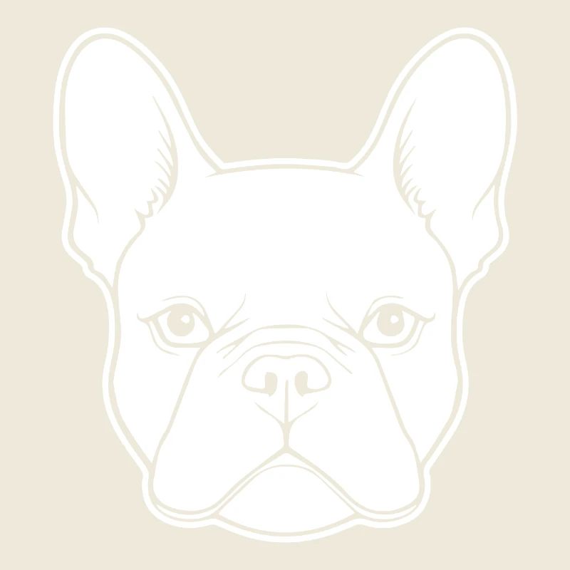Bouledogue français Terrier de Boston