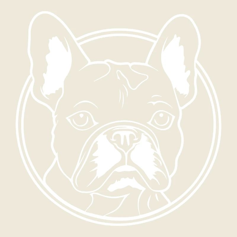 Bouledogue français Terrier de Boston