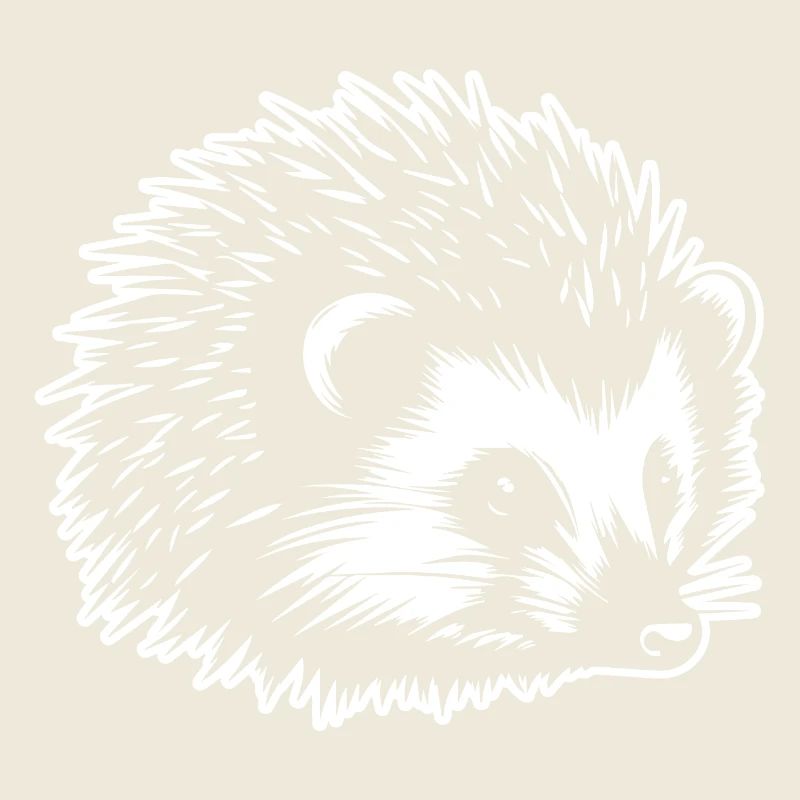 Igel Wald Stachelig Tier