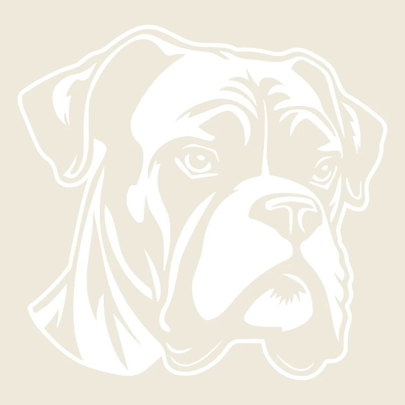 Boxer Hund Hunderasse