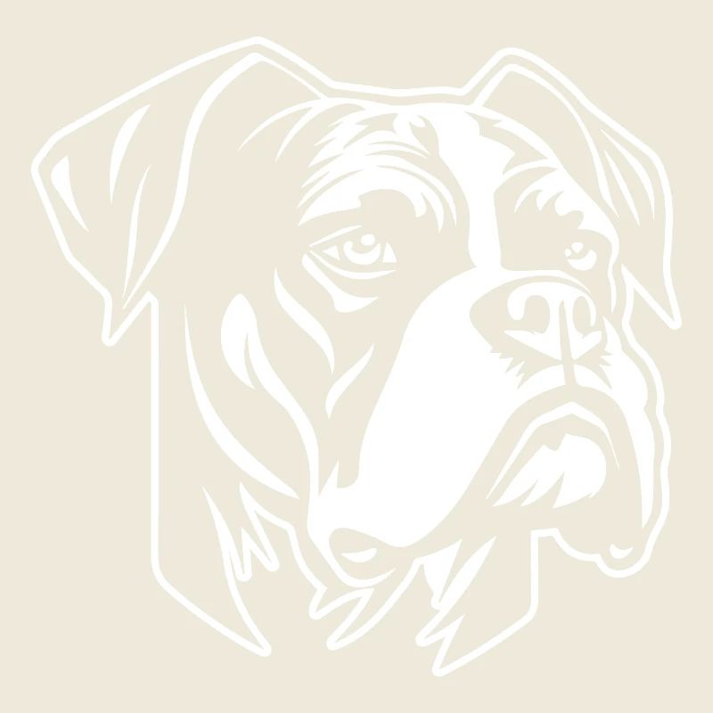 Boxer Hund Hunderasse