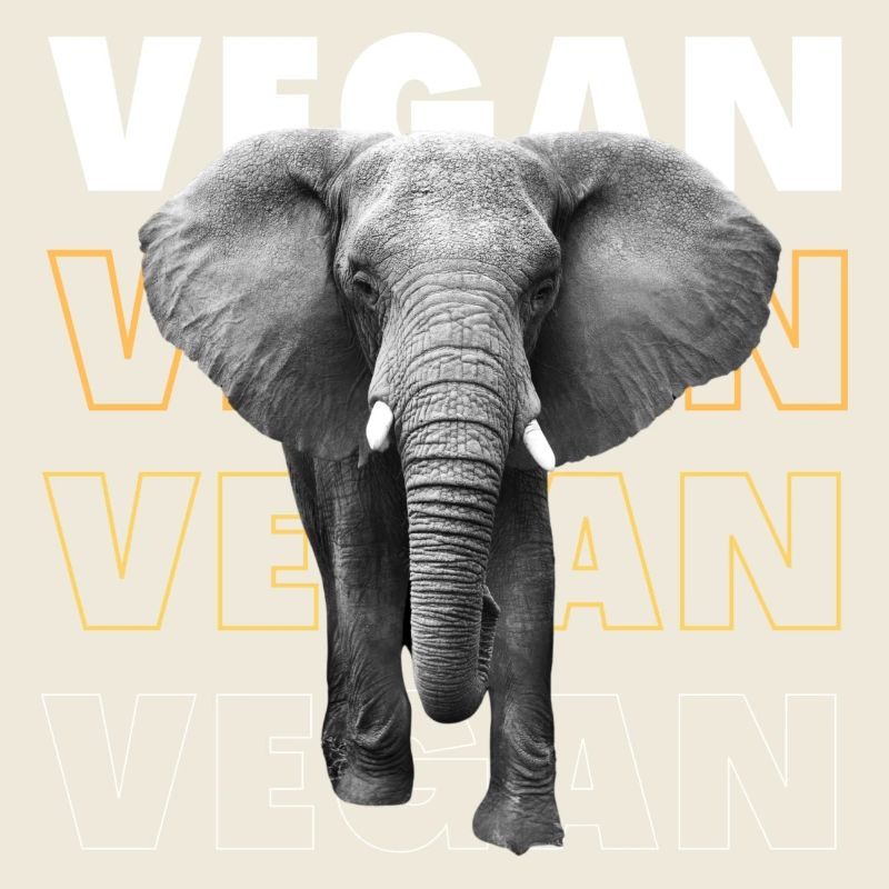 Éléphant végétalien