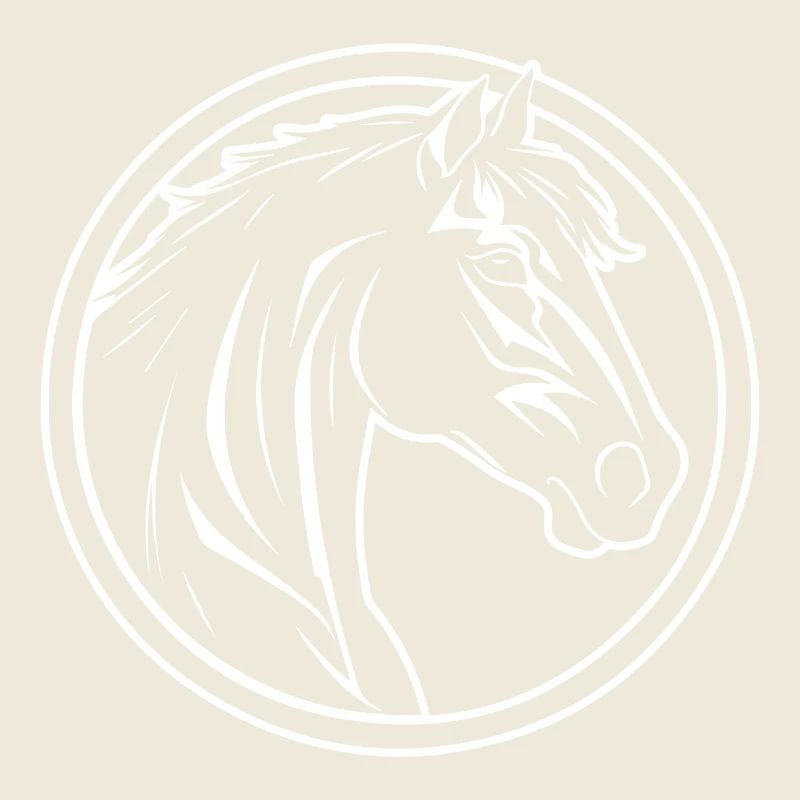 Pferd Pferdekopf Pony