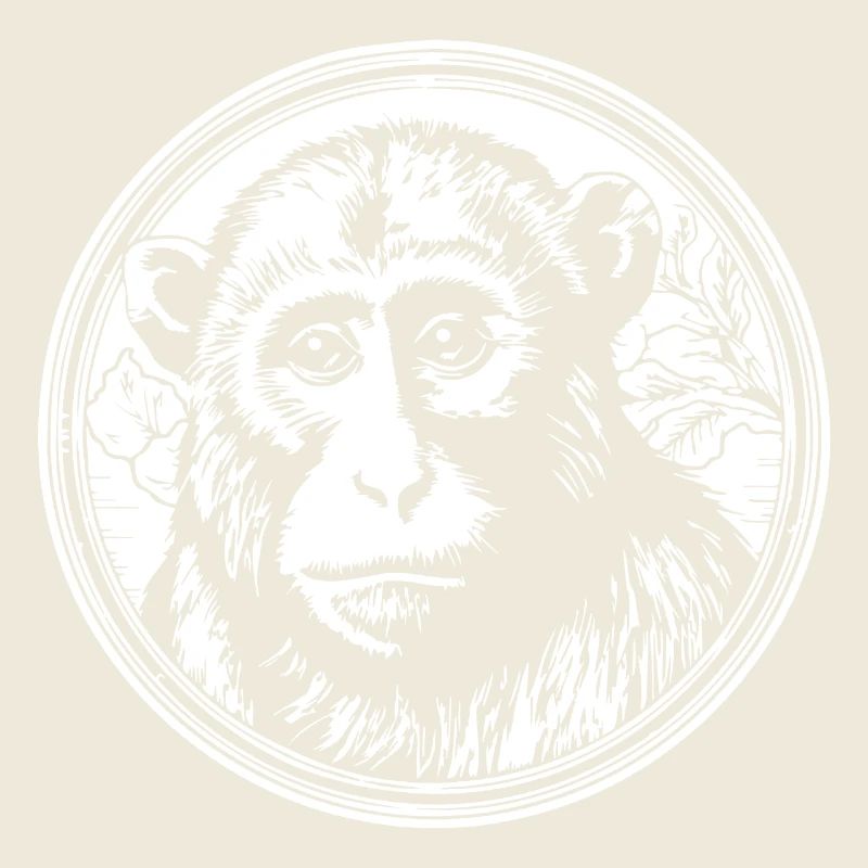 Affe Affen Affengesicht Dschungel