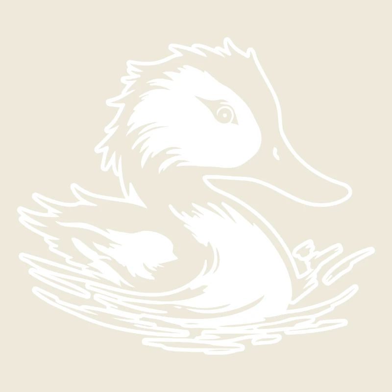 Canard Oiseaux Canards