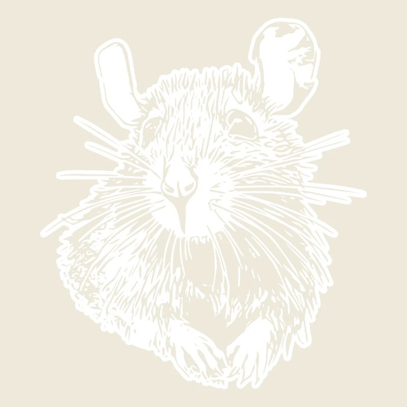 Rat, Mouse, Rodent, Rats