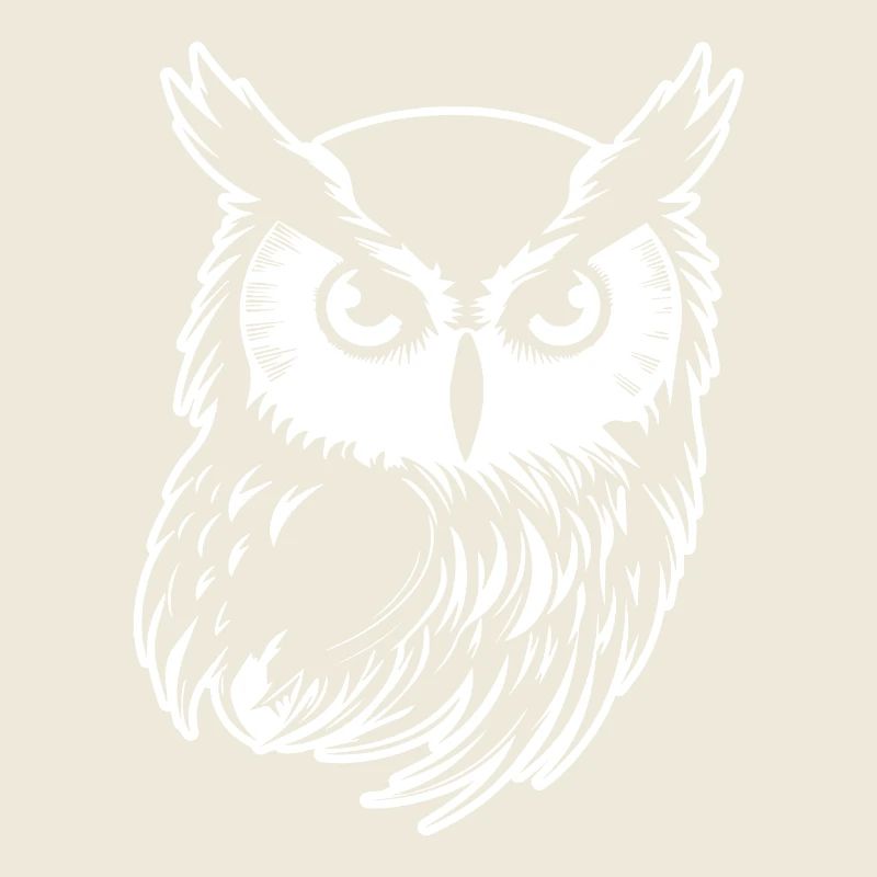 Eule Eulen Vogel Vögel