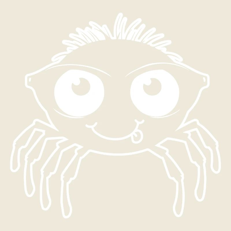 Spinne Spinnen Tiere