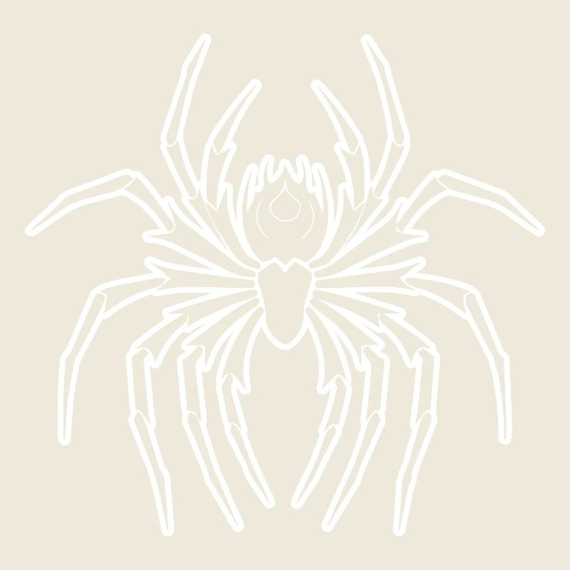 Araignée araignées animaux