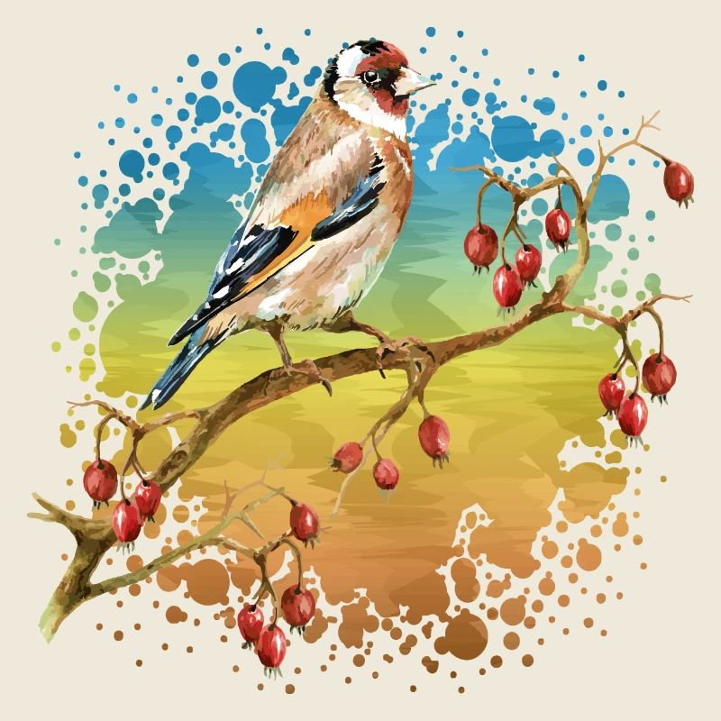 Oiseau