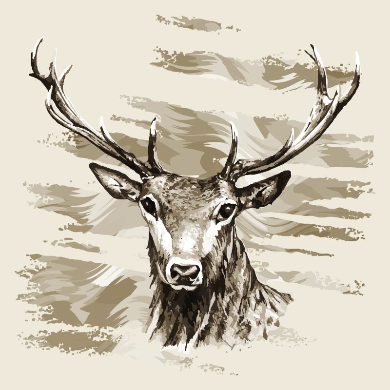 Cerf