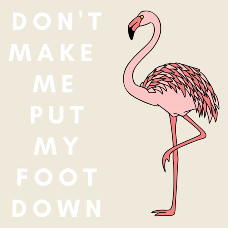 Flamingo Foot Down Funny Design