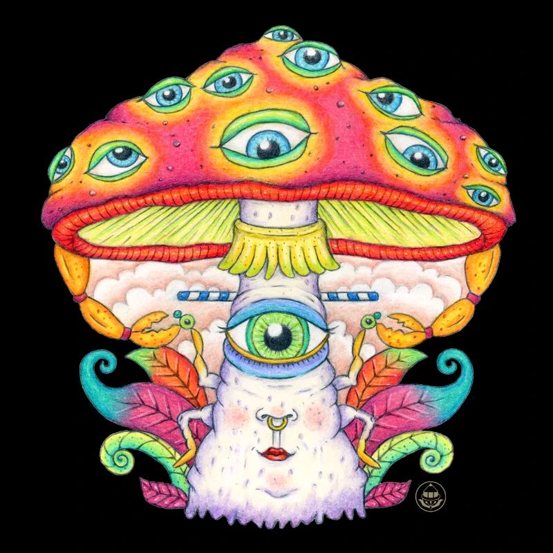 Faites confiance à l’univers, champignon, champignon