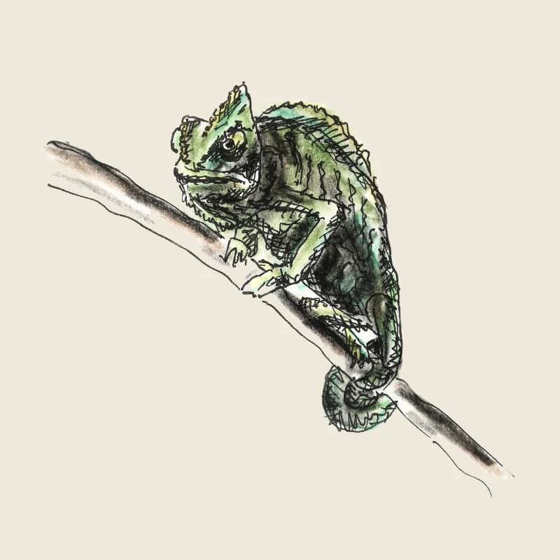caméléon