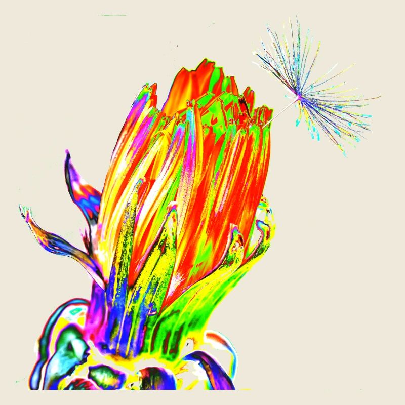 Fleur, A731193 1