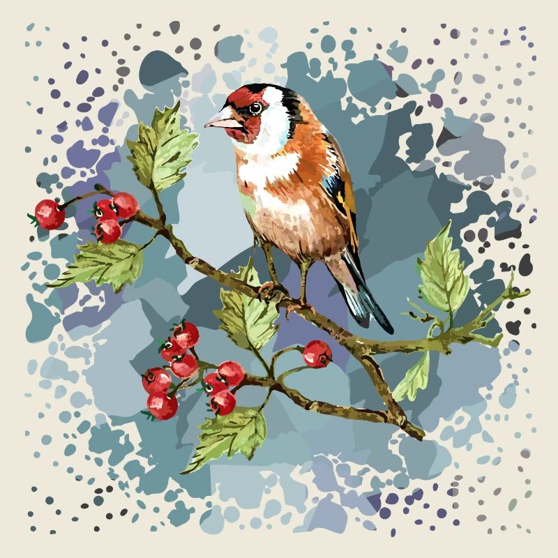 Oiseau coloré
