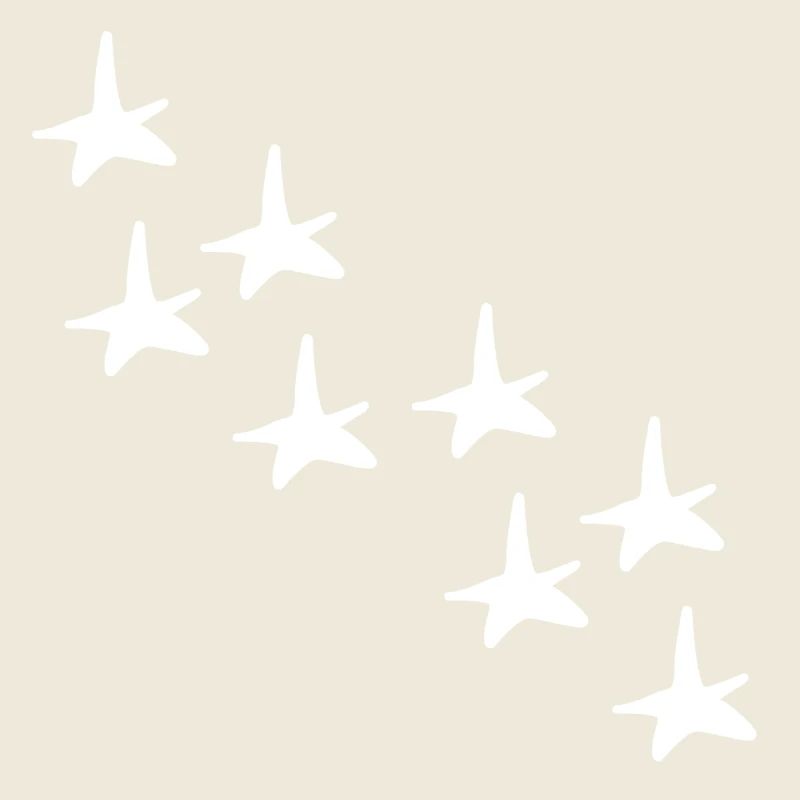 Stars Star Pattern Shapes Icon