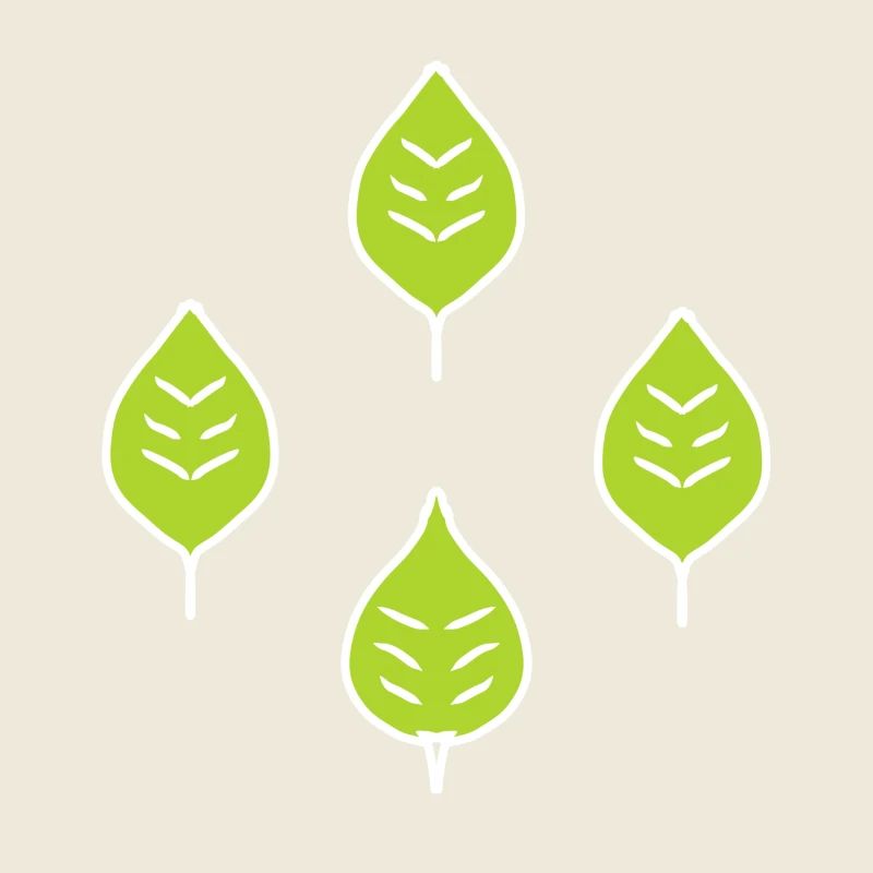 quatre feuilles vertes naturelles