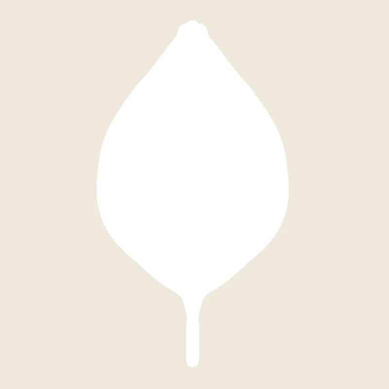 Feuille de plante verte Symbole de la nature