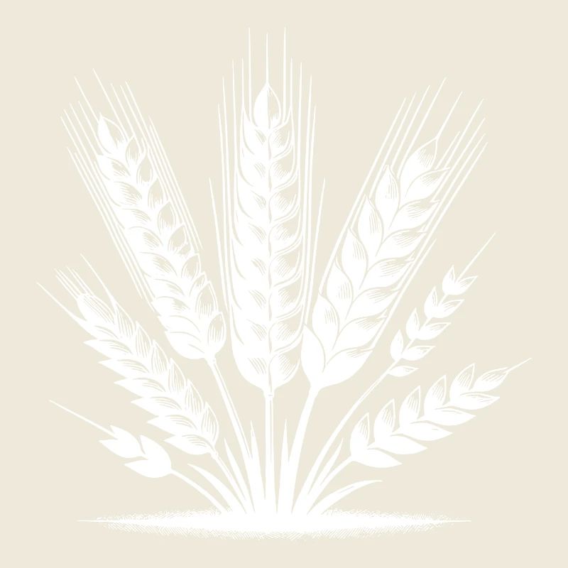 Différents grains