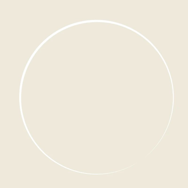 Icône en forme de cercle