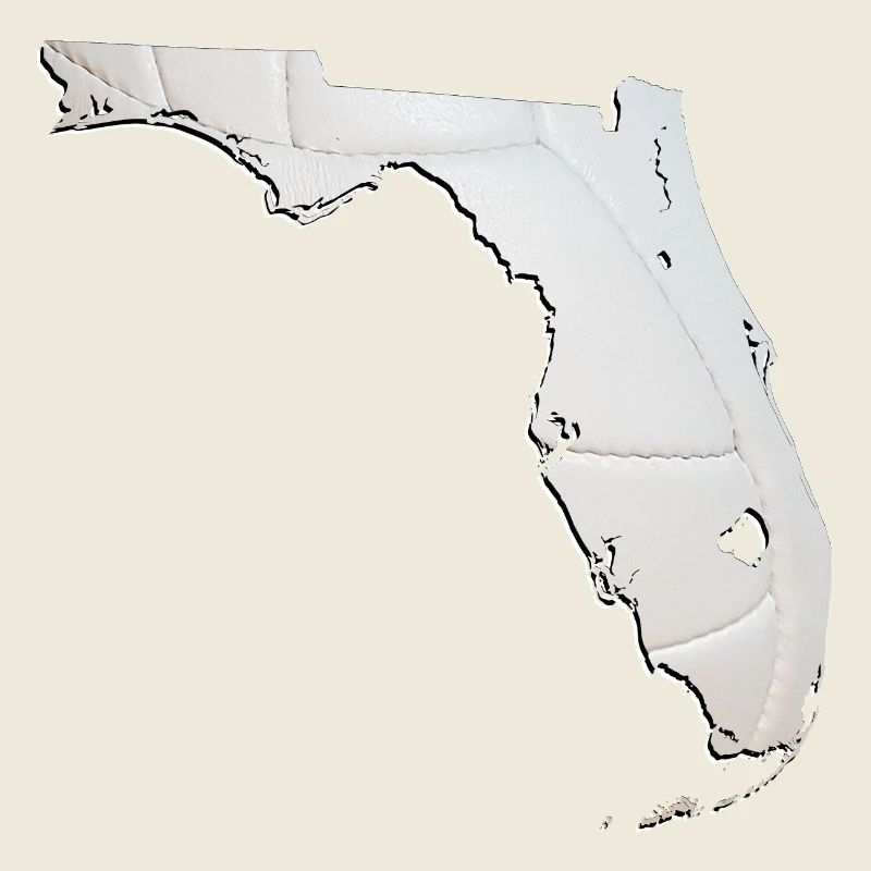 Real Volleyball in the Florida State Map