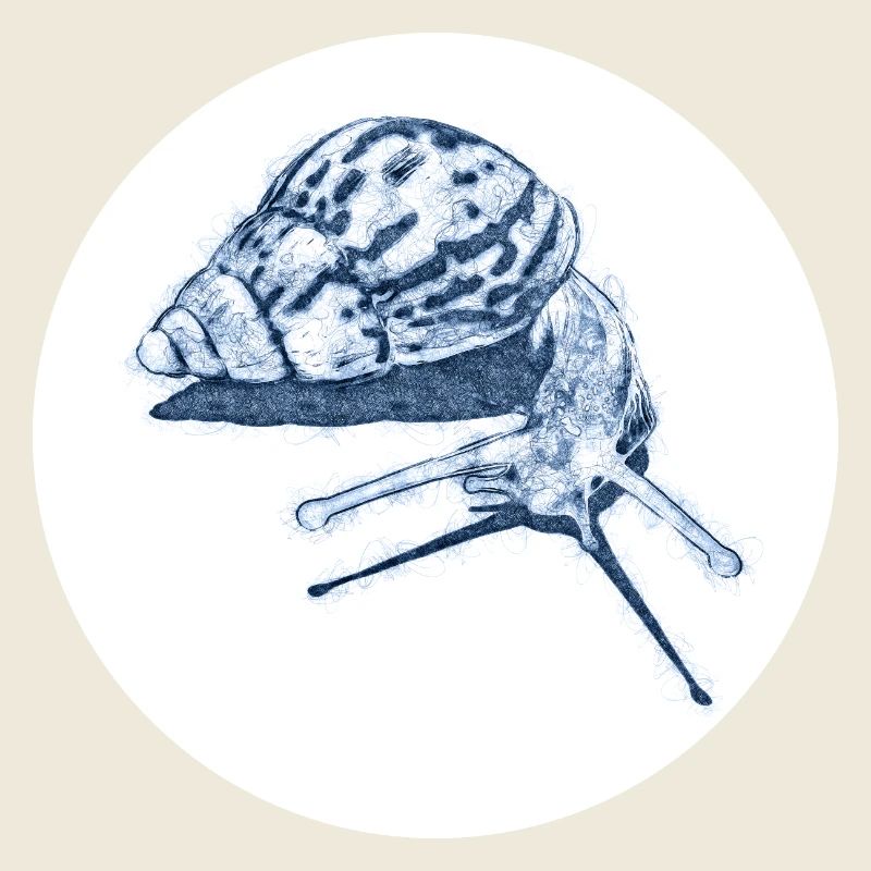 snail with shadow scribble art