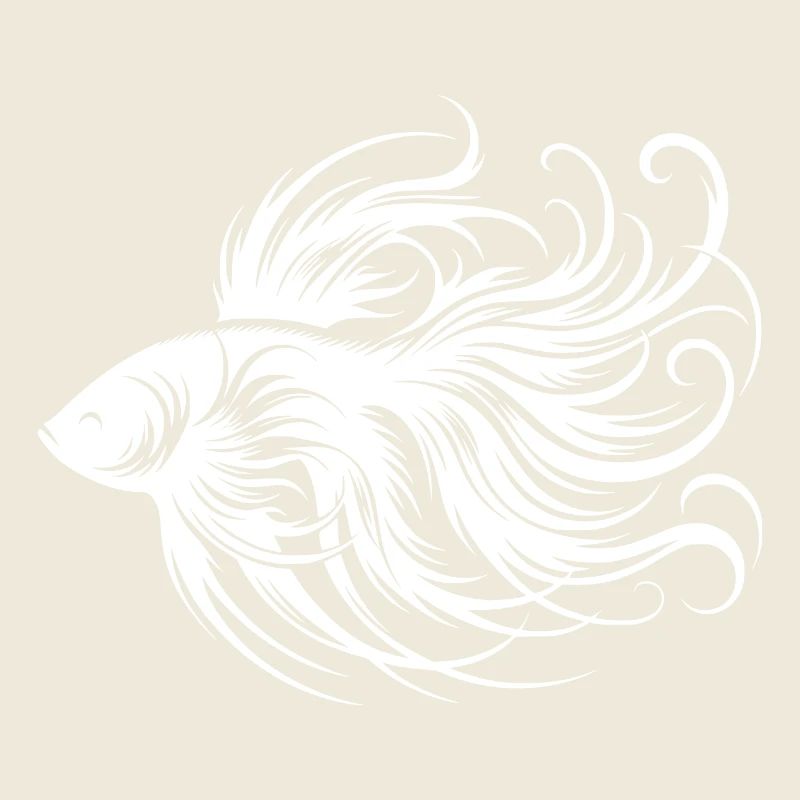 Poisson betta élégant beau poisson labyrinthe