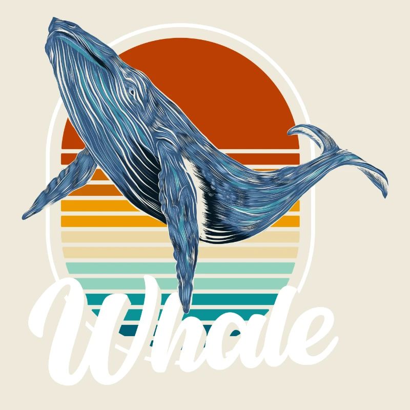 Meer Buckelwal Meeresbewohner Säugetier